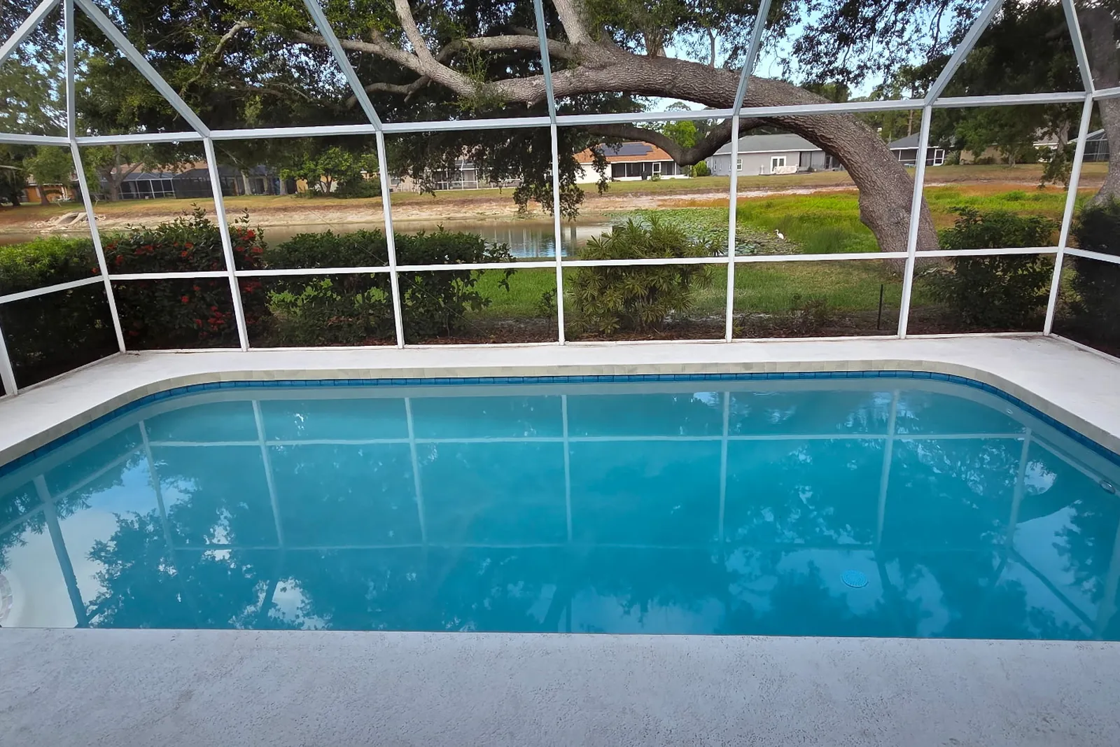 Remodeled Sarasota pool filled and finished under a screen enclosure